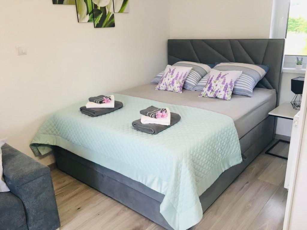 Apartamenty Pod Cisem Kudowa Zdroj Luaran gambar